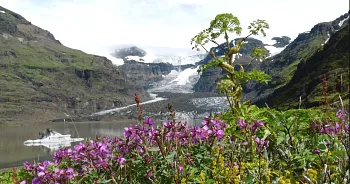 Islande - randonnées à la journée