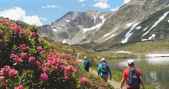 Randonnées de début d'été en Pyrénées Catalanes