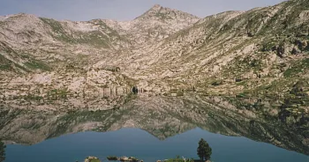 PYRENEES : Frontière(s) Sauvage(s)