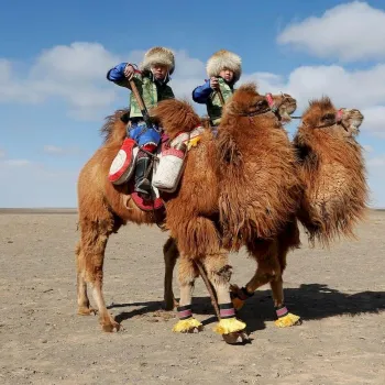 Désert de Gobi en hiver