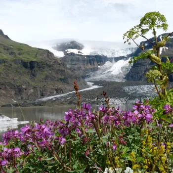 Islande - randonnées à la journée