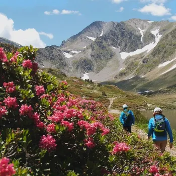 Randonnées de début d'été en Pyrénées Catalanes