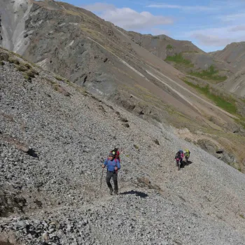 Treks entre montagnes et fjords de l'est