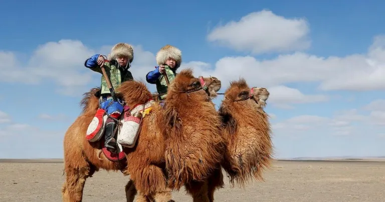 Désert de Gobi en hiver
