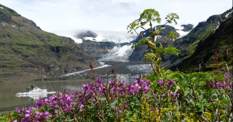 Islande - randonnées à la journée