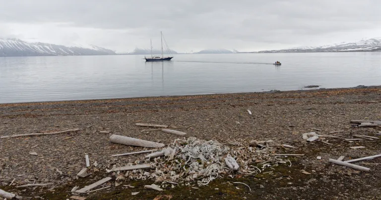 Spitzberg - Randonnée et exploration - Voilier
