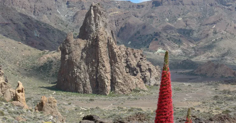 TENERIFE l'île aux trois visages