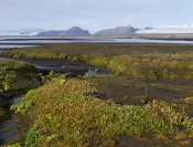 Islande - randonnées à la journée