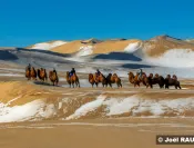 La neige sur les dunes de sable du désert, une image à laquelle on ne s'attend pas.