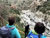 Les Gorges de la Guillera en Conflent