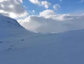 Raid nordique en Laponie suédoise