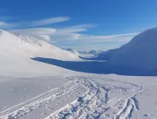 Raid nordique en Laponie suédoise