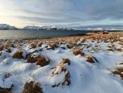 Raquettes sous les aurores boréales