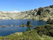 PYRENEES : Frontière(s) Sauvage(s)