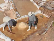 Avec les sauniers de Maras, dans la Vallée Sacrée