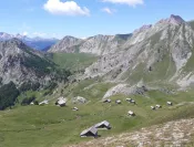 diapo 3