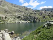 Estany Ensagents