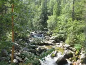 Le torrent de la LLose