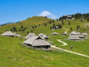 Velika Planina
